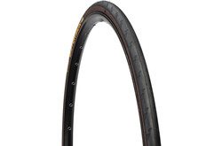 Continental Gatorskin Tire - 700 x 25, Clincher, Wire, Black, PolyX Breaker