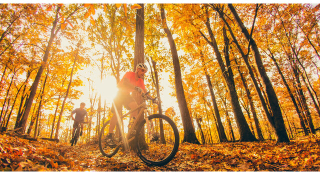 Embrace Fall and Winter Riding: Maintenance, Comfort, and Indoor Tips