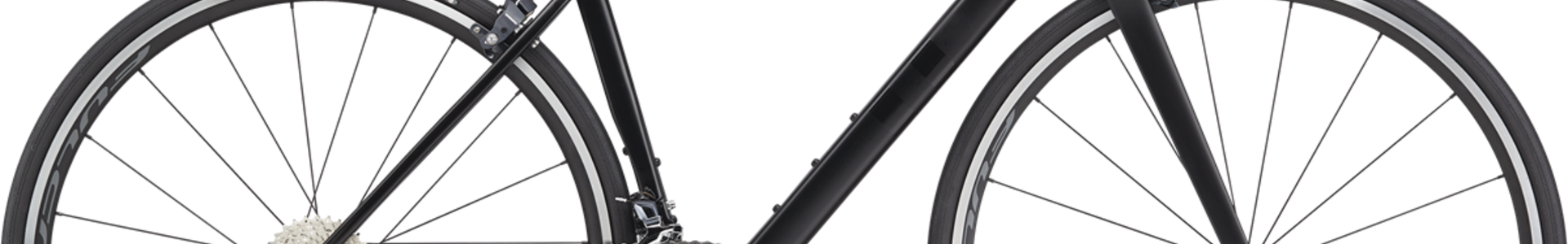 Road Bikes / Gravel Bikes / Triathlon /  Endurance